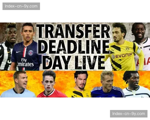 转会截止日动态：多支球队关注澳大利亚联赛NBL的潜在引援目标